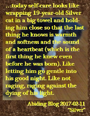 ...today self-care looks like wrapping 19-year-old Silver cat in a big towel and holding him close so that the last thing he knows is warmth and softness and the sound of a heartbeat (which is the first thing he knew even before he was born). Like letting him go gentle into his good night. Like not raging, raging against the dying of his light. #SelfCare #LettingGo #AbidingBlog2017Silver